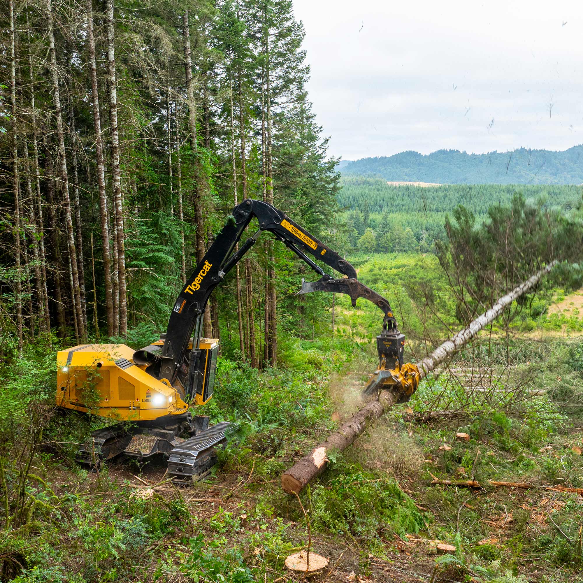 tigercat-LS857-gal3
